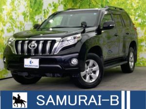 4WD/Sunroof/Navi/DVD/AW/No-accidents/7-LeatherSeat/PowerSeat/BackCamera