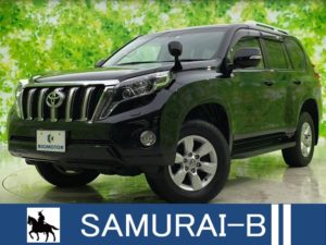 4WD/Sunroof/Navi/DVD/AW/No-accidents/LeatherSeat/BackCamera